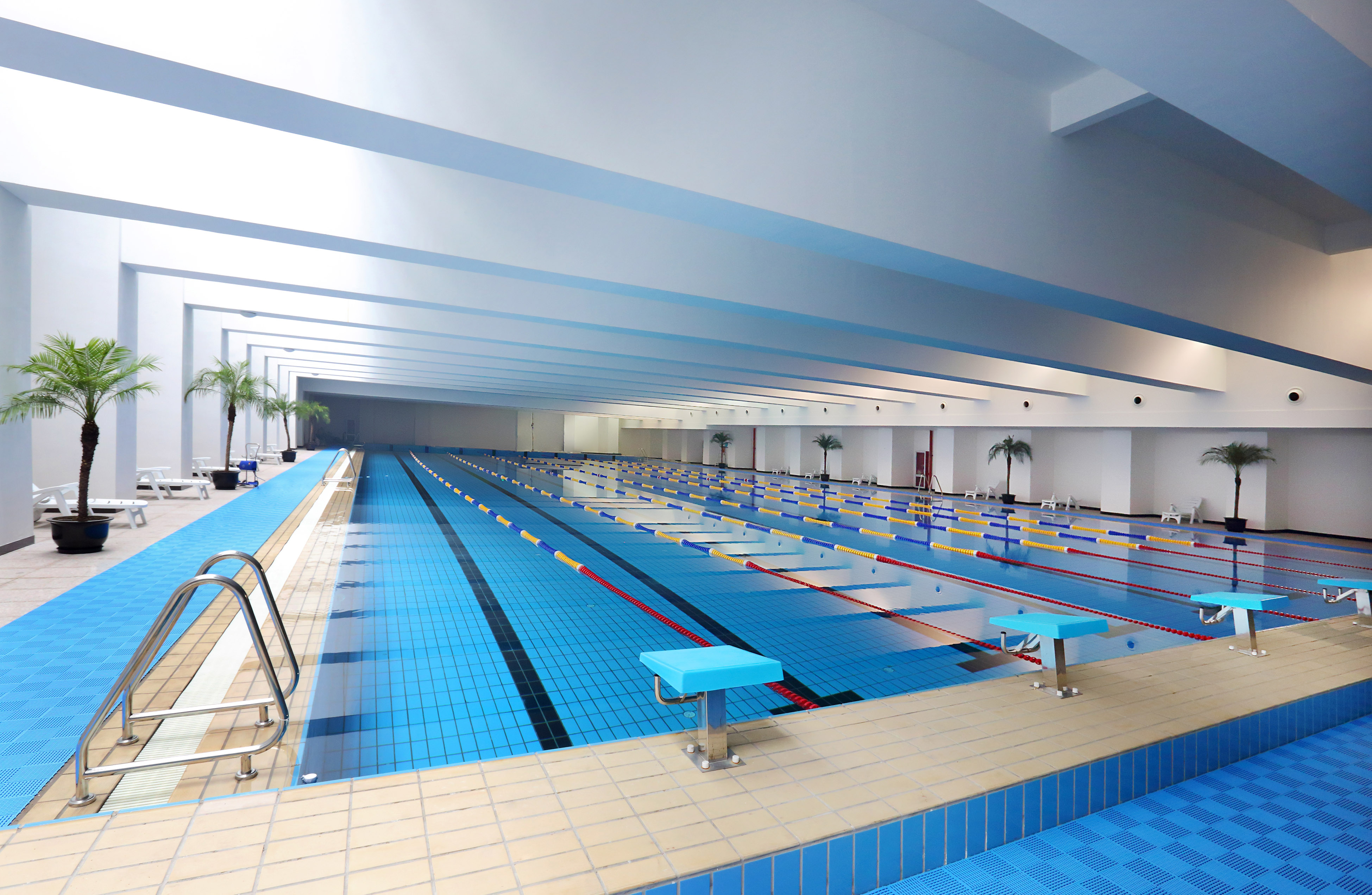 高溫來臨，游泳池“下餃子”水質檢測誰把關?